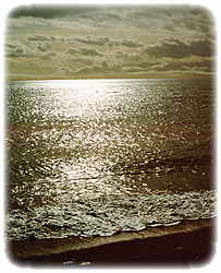Esquimalt Lagoon Oceanside - K. Slagboom Photo